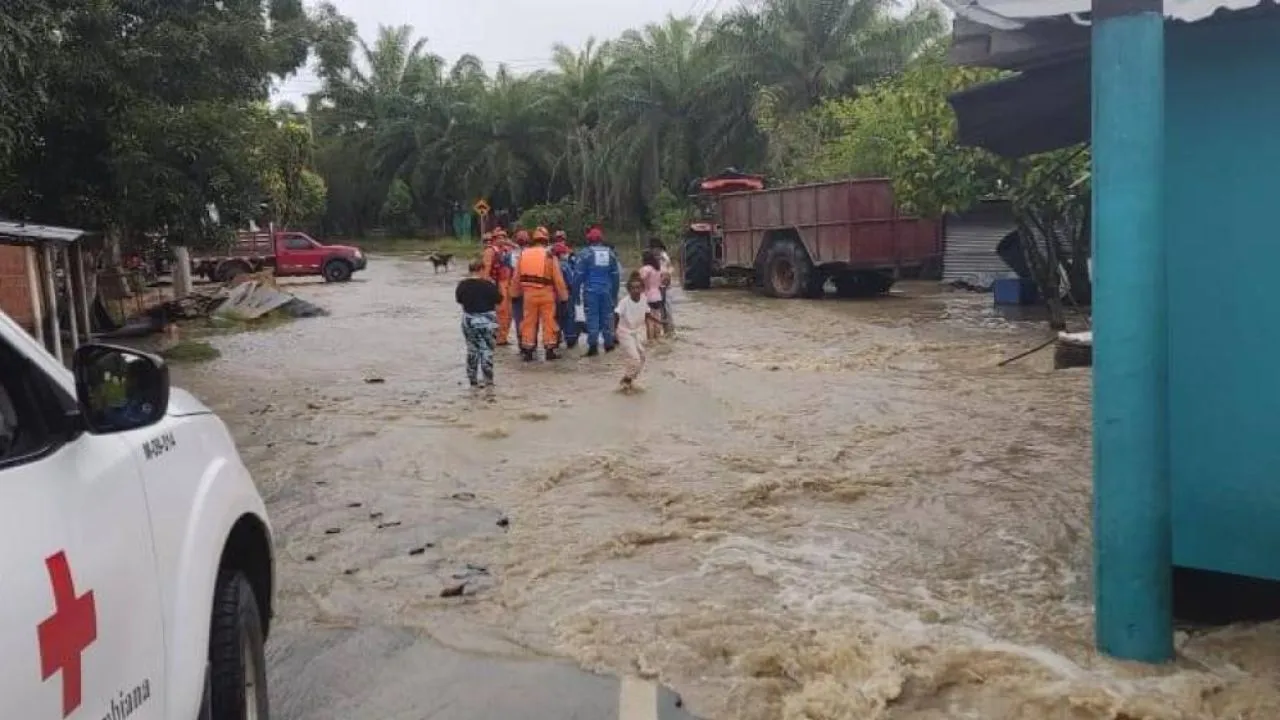 ¿Qué pasó en Casanare? Campesinos pierden ganado y cultivo tras fuertes inundaciones Imagen de ¿Qué pasó en Casanare? Campesinos pierden ganado y cultivo tras fuertes inundaciones