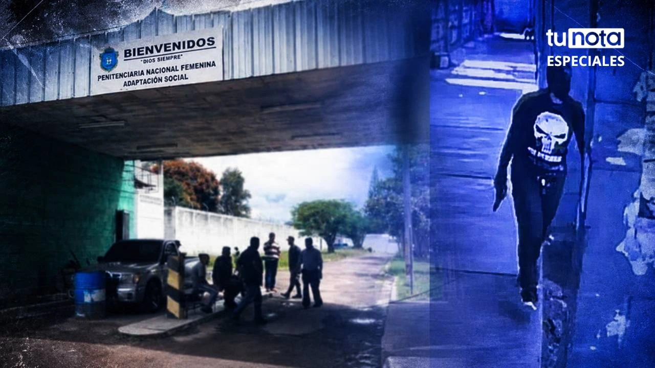 Las encerraron, las cazaron y las quemaron: el horror de PNFAS Imagen de Las encerraron, las cazaron y las quemaron: el horror de PNFAS