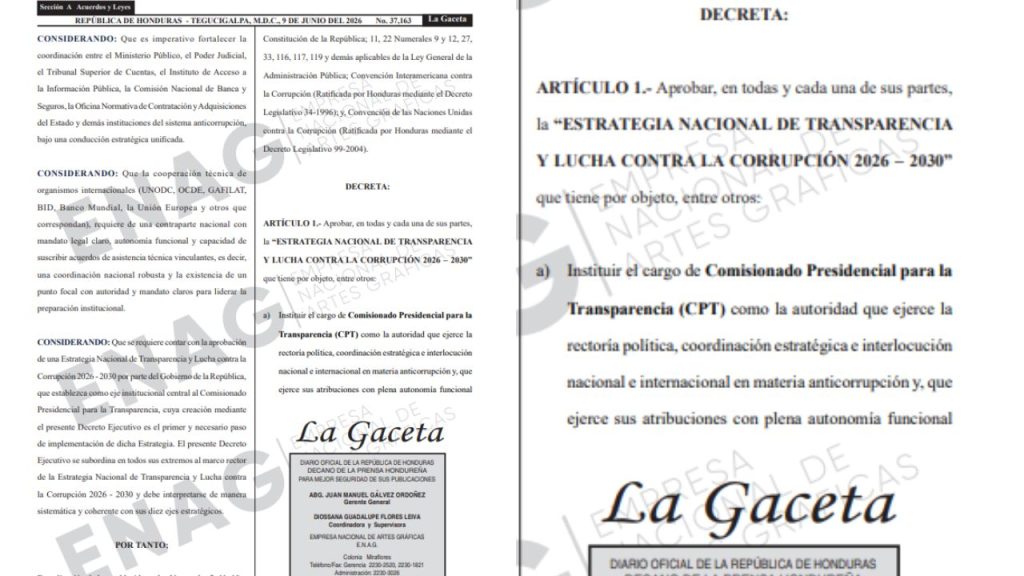 Artículo, Diario La Gaceta