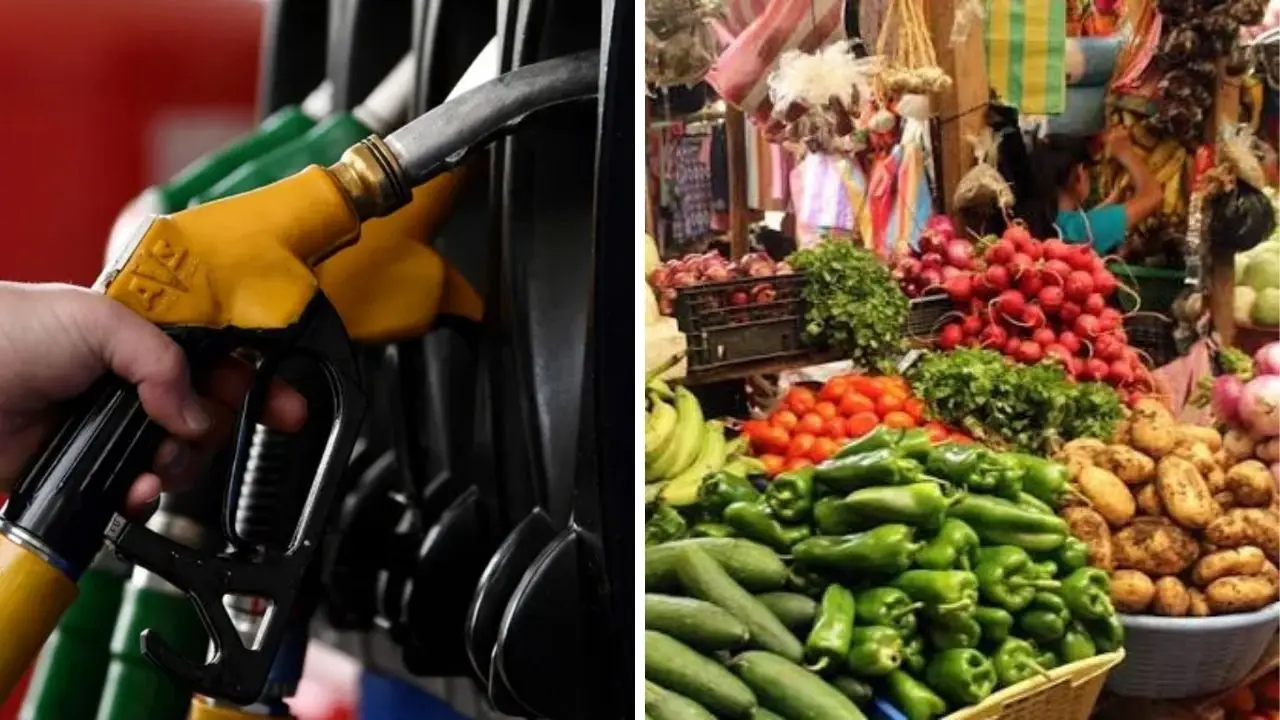 ¿por qué no baja alimentos y transporte?