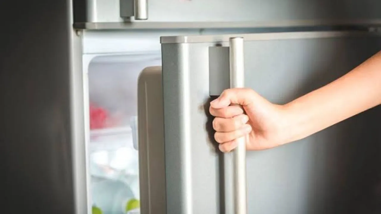 ¿Su refri consume más energía de lo normal? Detalle podría ser la causa Imagen de ¿Su refri consume más energía de lo normal? Detalle podría ser la causa
