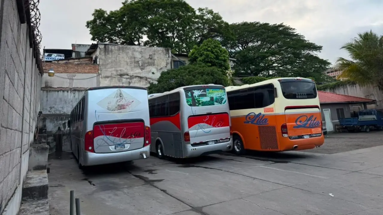 Imagen de Empresa de transporte Lila cierra operaciones por delincuencia