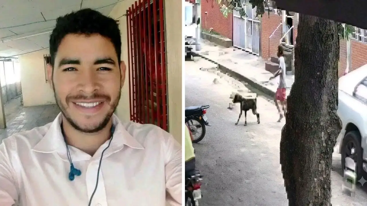 Imagen de Video: Cámara capta ataque mortal de perro contra hombre que salió a pasearlo
