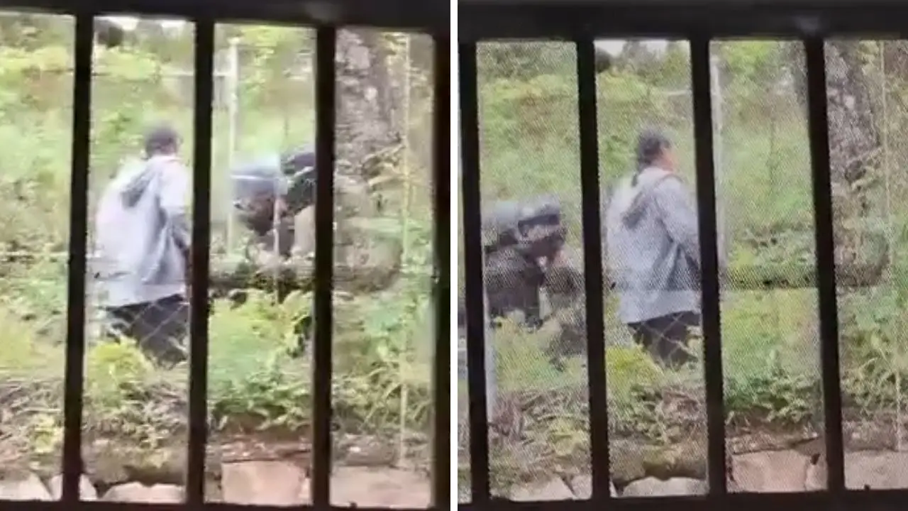 Video muestra asalto contra testigos de Jehová en Valle de Ángeles Imagen de Video muestra asalto contra testigos de Jehová en Valle de Ángeles