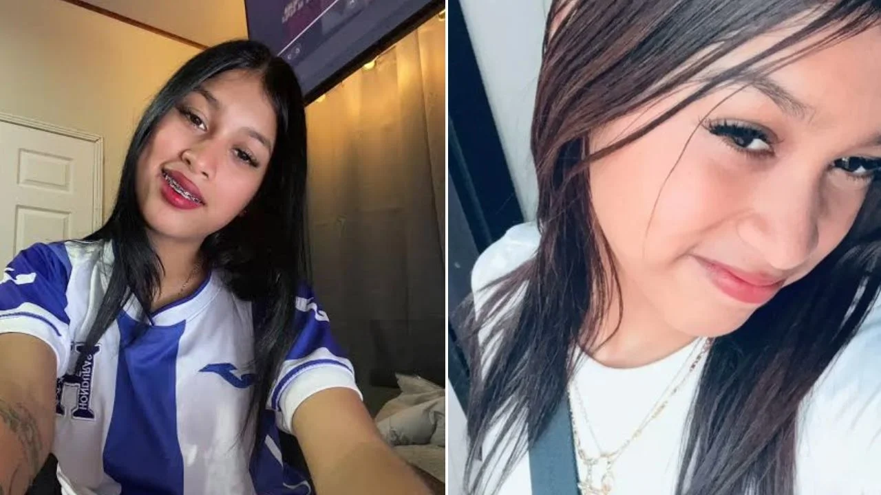 Video viral filtrado de la Tortuga HN: clip original y completo en Telegram y X Imagen de Video viral filtrado de la Tortuga HN: clip original y completo en Telegram y X