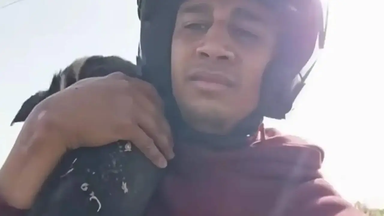 'Youtuber' irá a prisión tras cocinar y comer un perro callejero 'en vivo' Imagen de 'Youtuber' irá a prisión tras cocinar y comer un perro callejero 'en vivo'