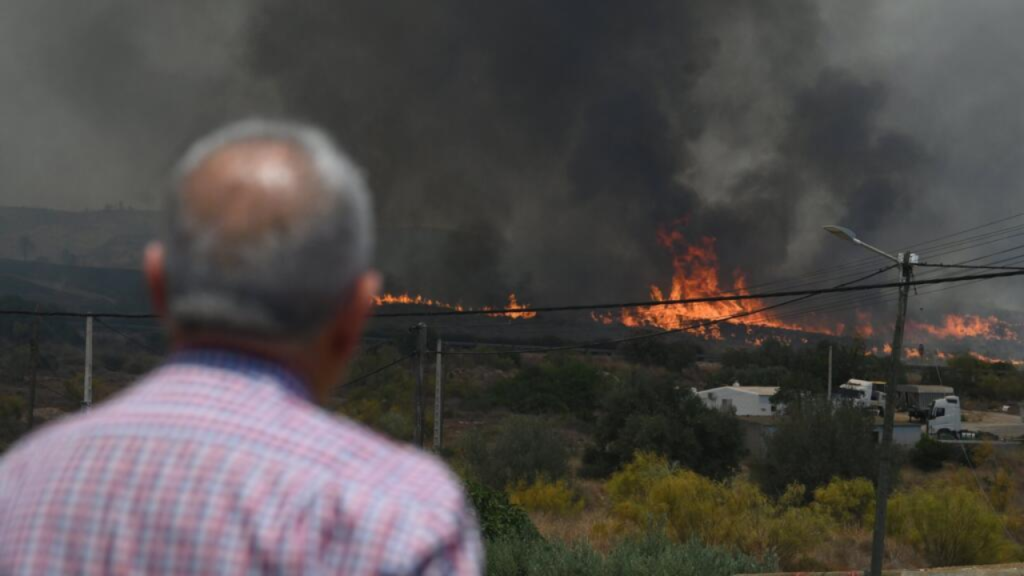 Collage de fotos de incendio forestal de Almería