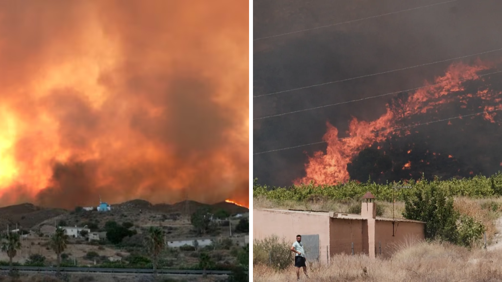 Collage de fotos del incendio de Almería