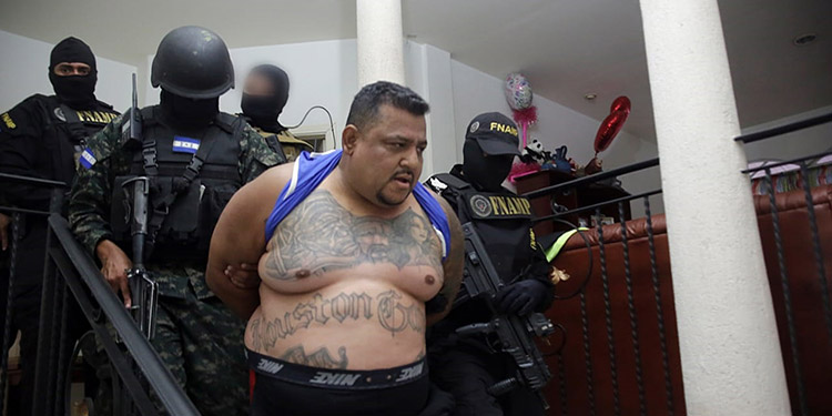 en los tribunales