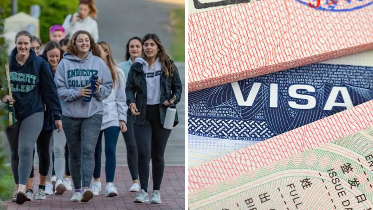 Visa de estudiantes, Estados Unidos