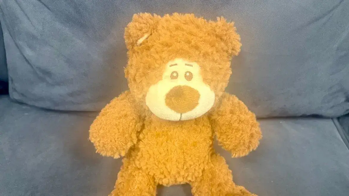 Osito de peluche que contenía las cenizas del niño fallecido