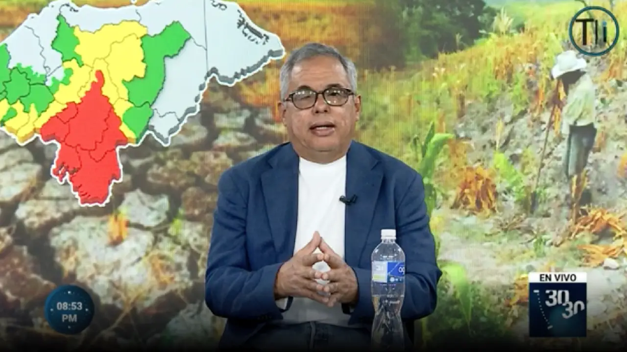 Economista Julio Raudales.