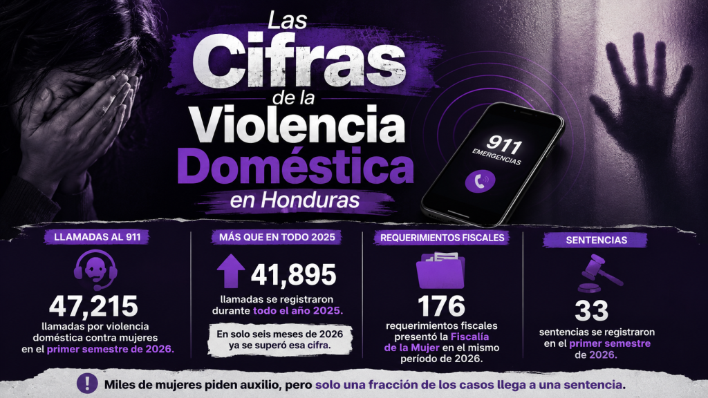 cifras violencia doméstica