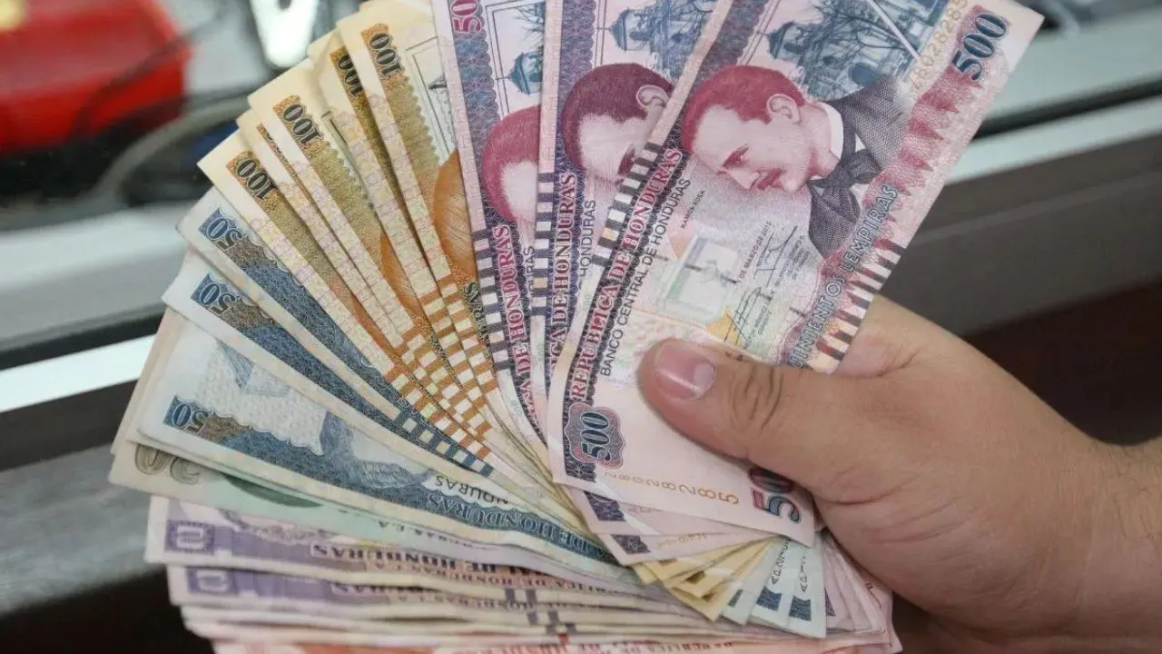Imagen de referencia de billetes de diferentes denominaciones.