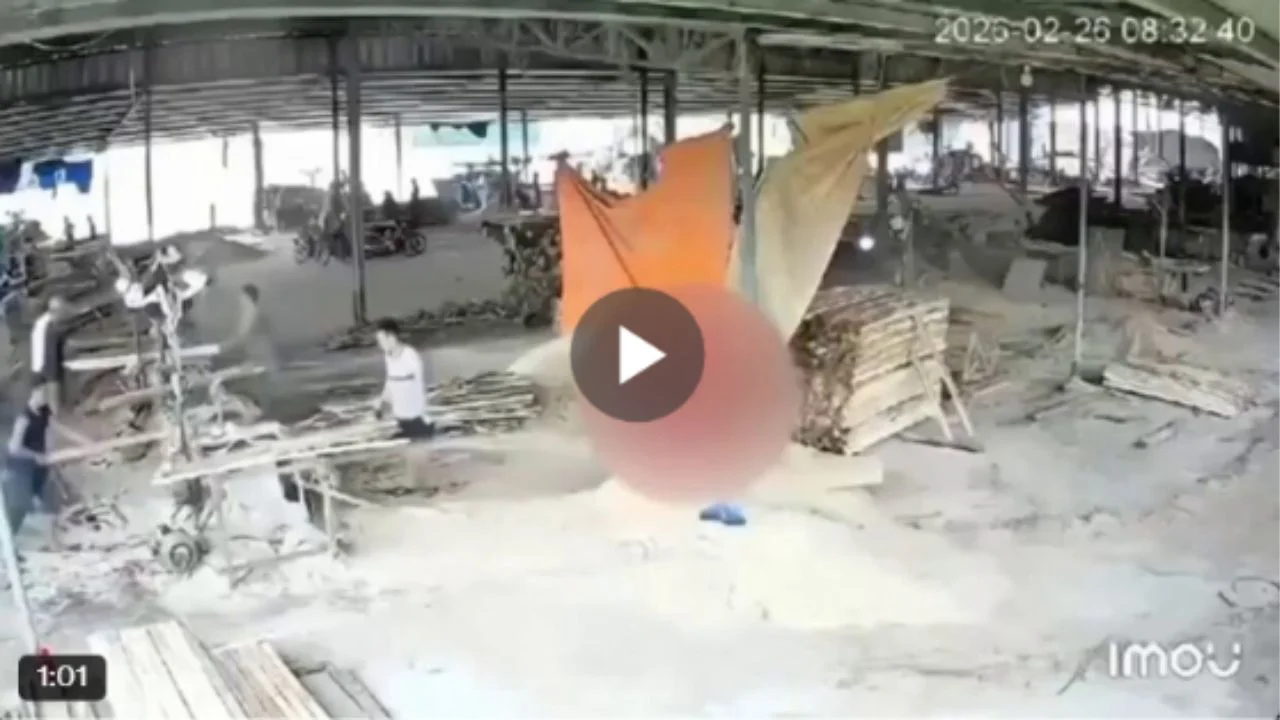 Video del empleado que murió tras caer en una máquina cortadora de madera.