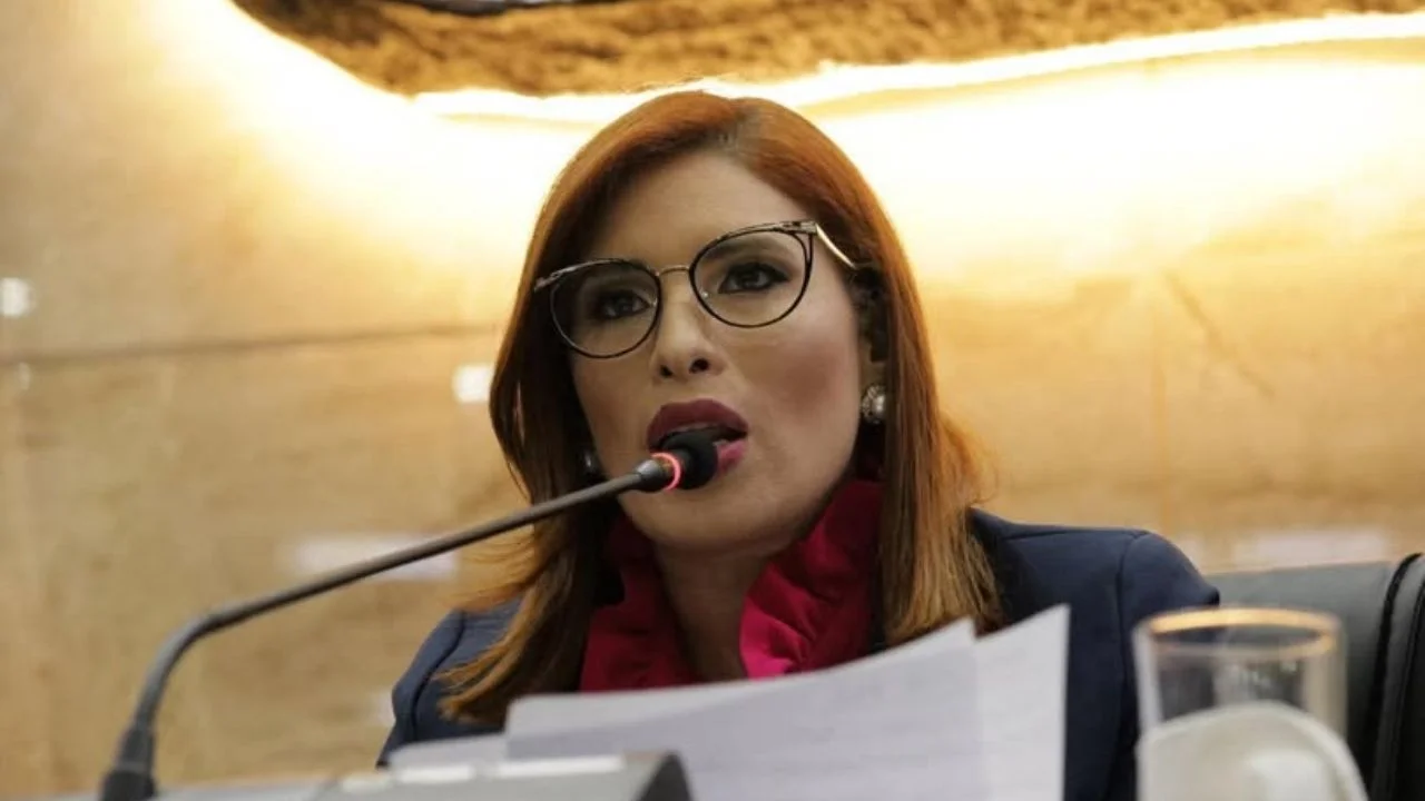 Diputada Erika Urtecho
