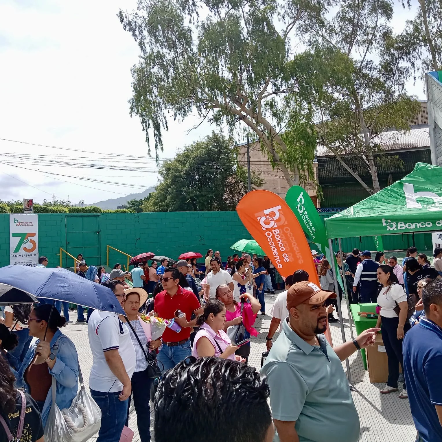Imagen de Galería
