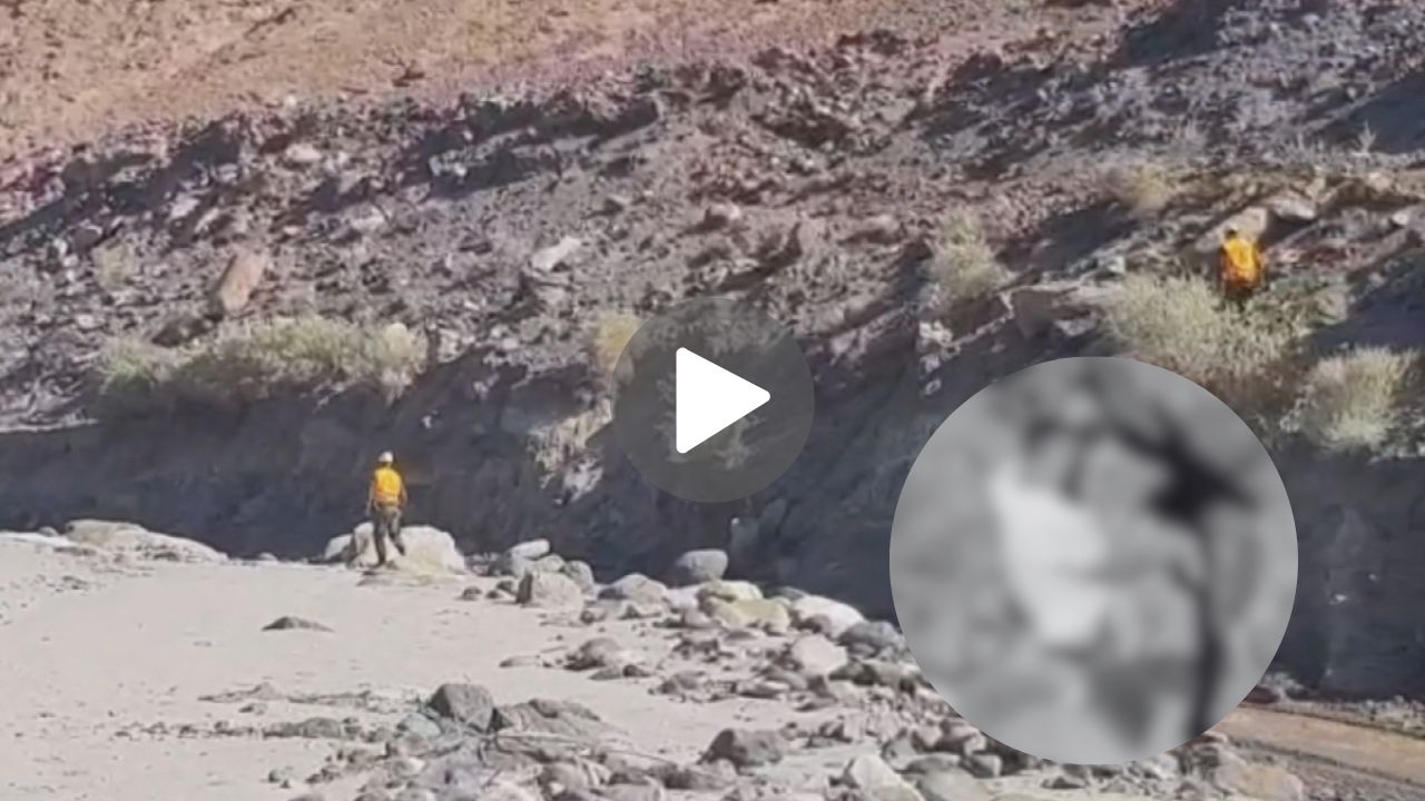 Fotos de El Cangri muerto