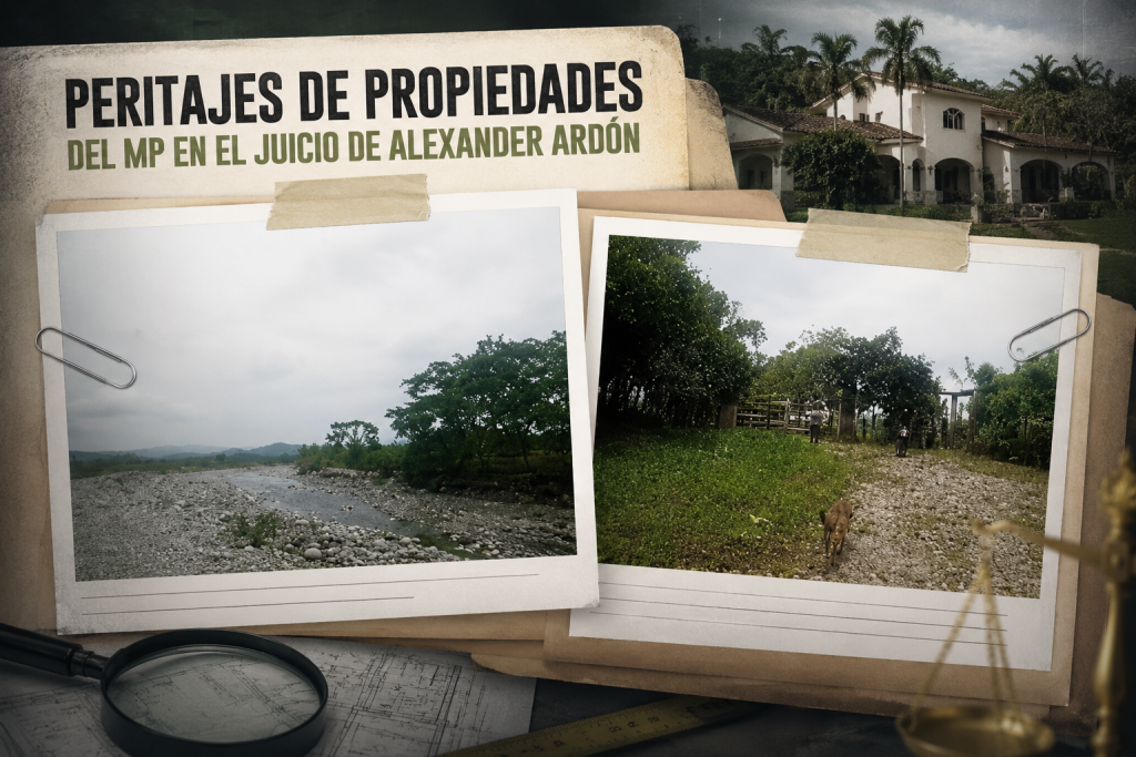 Los peritajes