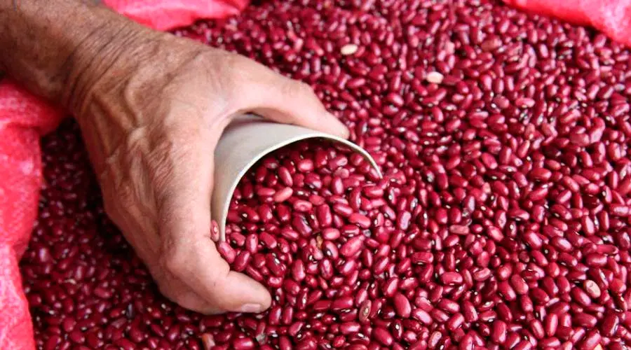 frijoles