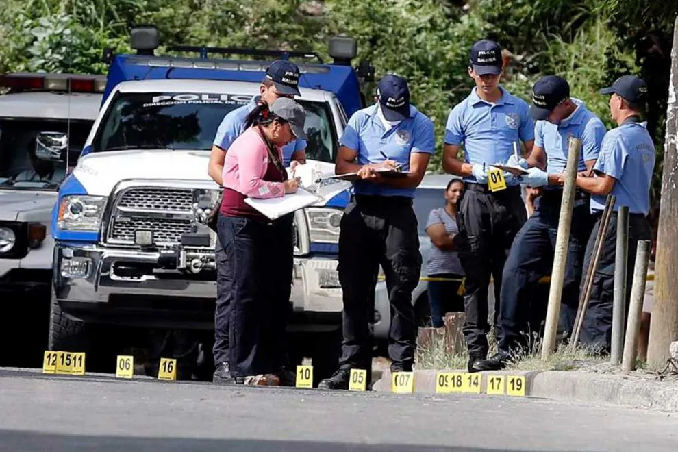 investigación