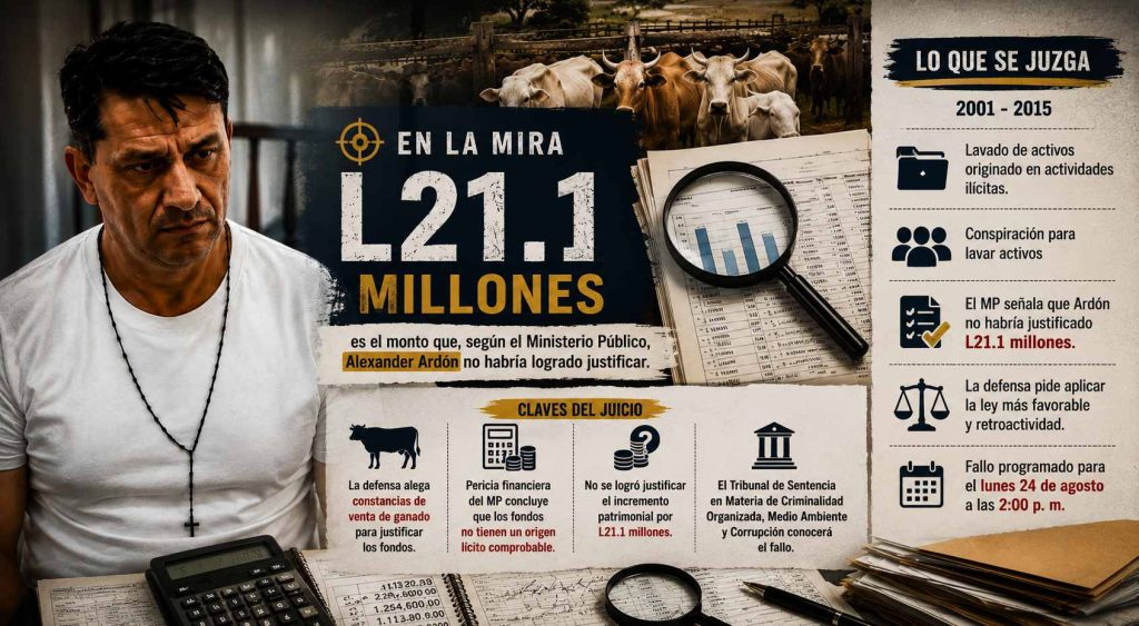 pericia financiera