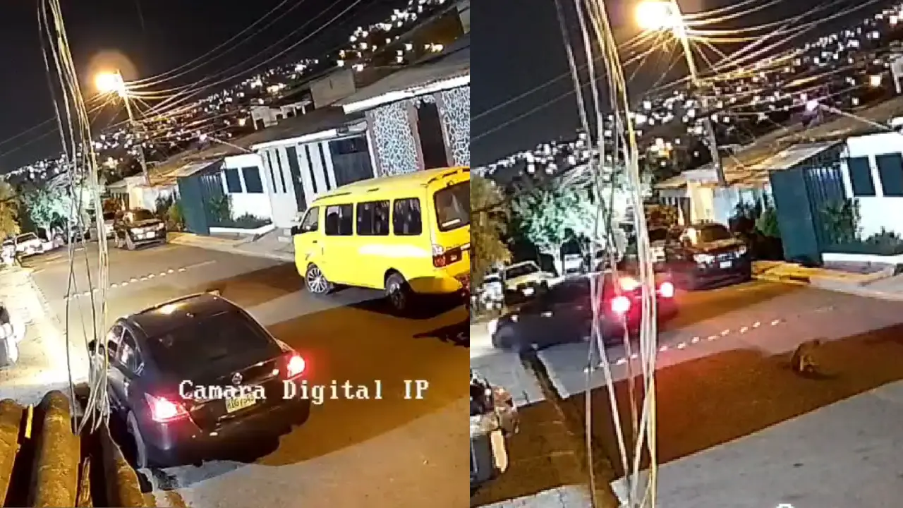 Imagen Principal de Nota: Exponen cuando mujer atropella intencionalmente a perrita en la Cerro Grande