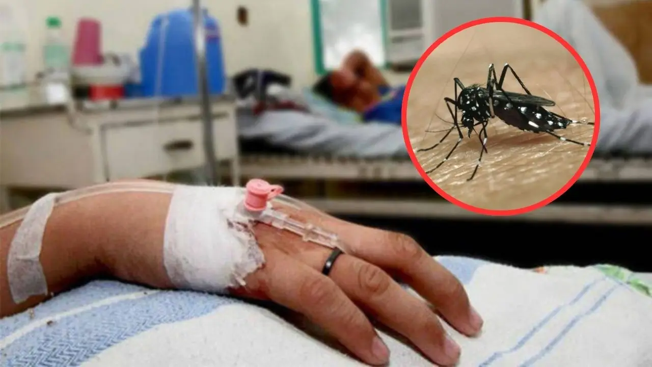 Capitalino muere por dengue y se convierte en la quinta víctima de 2026 Imagen de Capitalino muere por dengue y se convierte en la quinta víctima de 2026