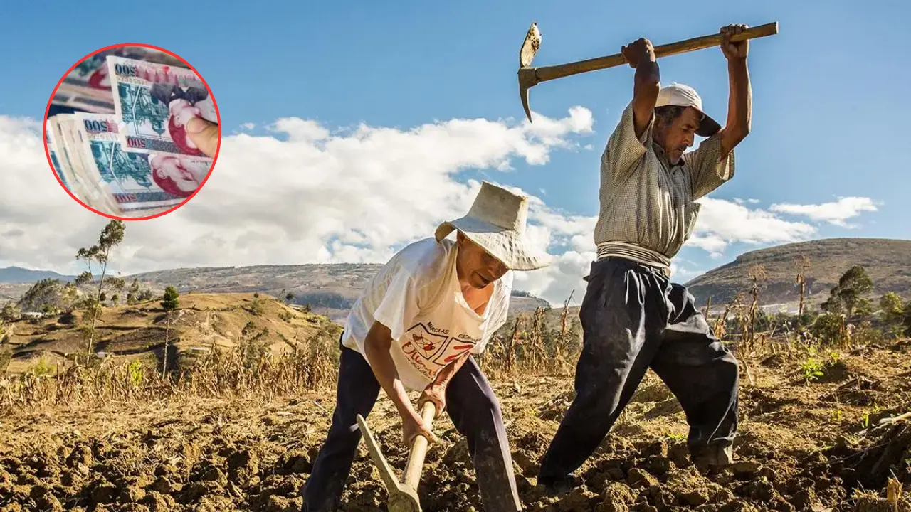 Cuestionan devolución de préstamos para proyectos de agricultores por ‘baja ejecución’