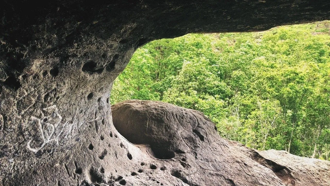 El misterioso sitio de Honduras que muestra 'criaturas míticas' en piedra Imagen de El misterioso sitio de Honduras que muestra 'criaturas míticas' en piedra
