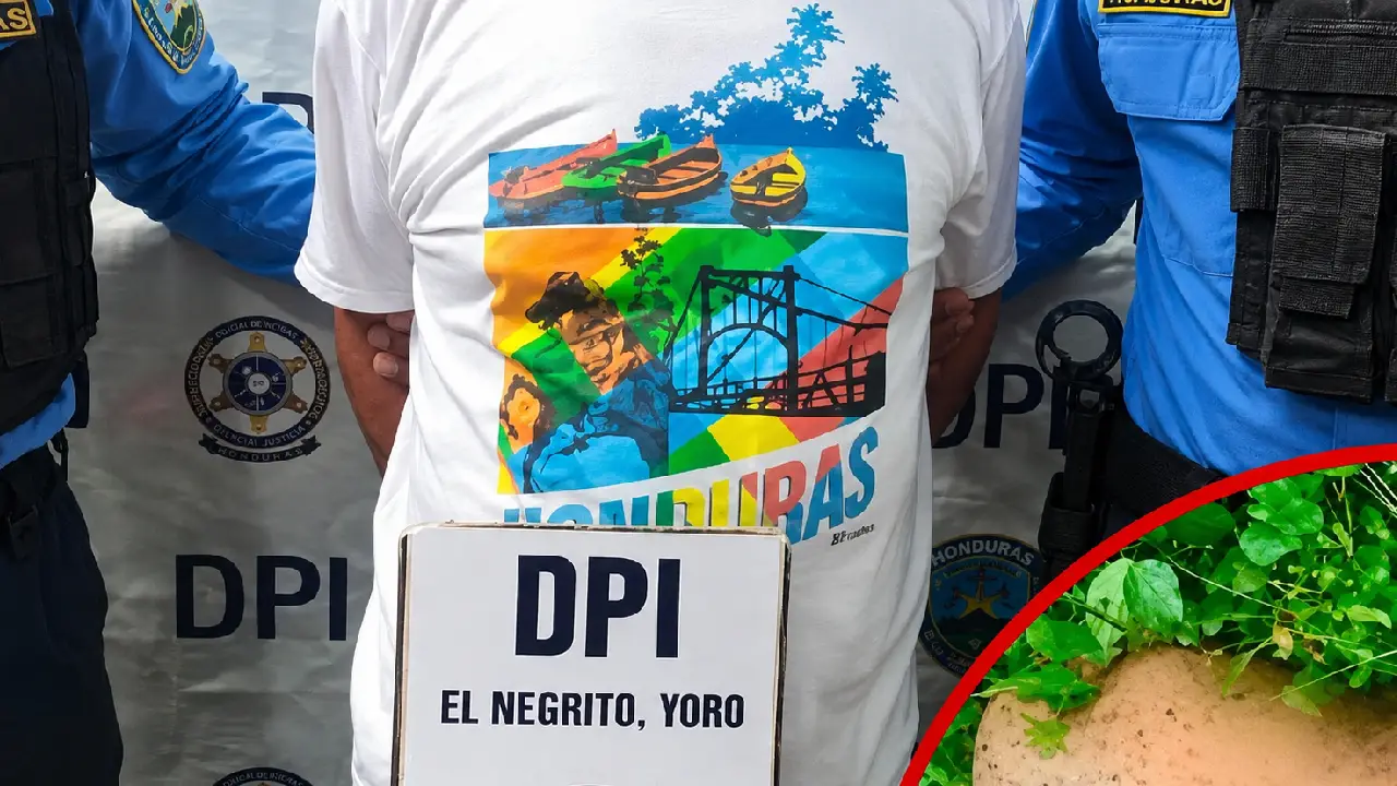 Anciano detenido en Yoro por matar a balazos a un perro que peleaba con el suyo Imagen de Anciano detenido en Yoro por matar a balazos a un perro que peleaba con el suyo