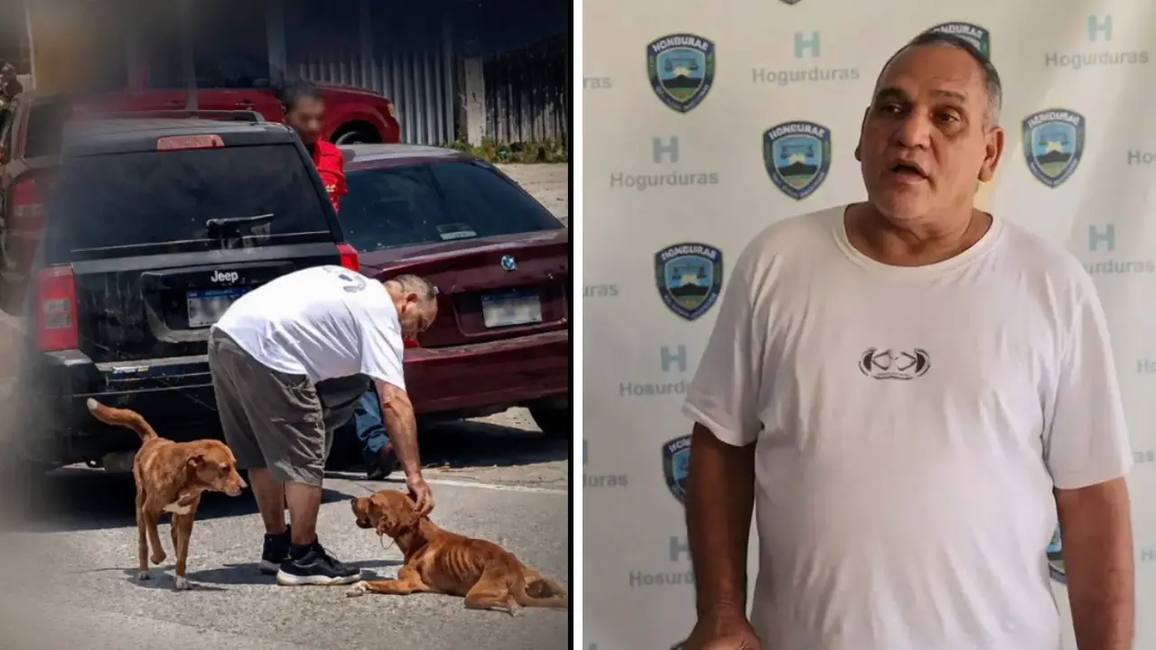 Imagen de Dueño del perro arrastrado pide perdón y asegura: 'Actué desde la ignorancia'
