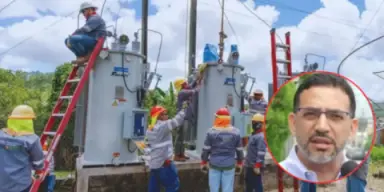 Imagen de Experto llama a castigar hurto de energía, despolitizar la ENEE y bajar las pérdidas