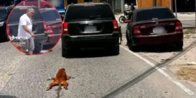 Imagen de Liberan al hombre que arrastró a un perro en Choloma
