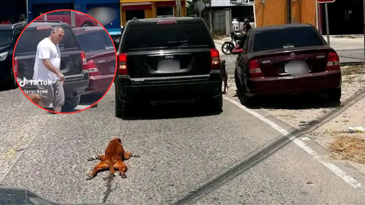 Liberan al hombre que arrastró a un perro en Choloma Imagen de Liberan al hombre que arrastró a un perro en Choloma