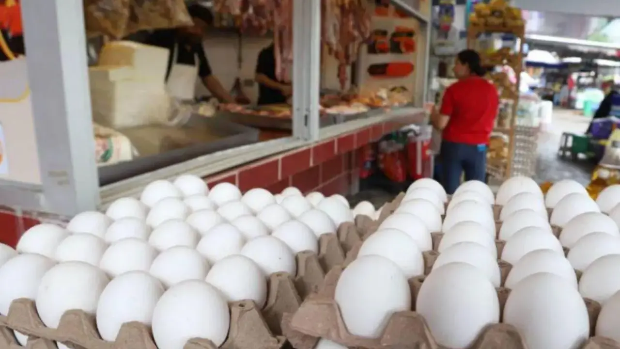 La canasta básica sigue al alza en Honduras: el cartón de huevos sube L14 Imagen de La canasta básica sigue al alza en Honduras: el cartón de huevos sube L14