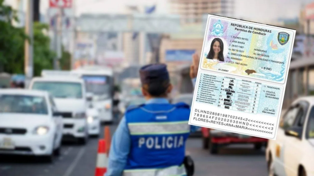 Renovación de licencias de conducir los domingos: requisitos y horario Imagen de Renovación de licencias de conducir los domingos: requisitos y horario