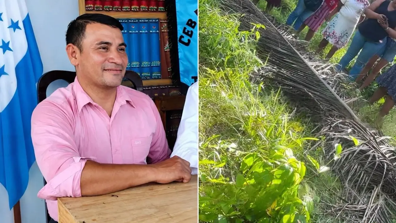 Hallan muerto a un maestro en una finca de palma africana en Atlántida Imagen de Hallan muerto a un maestro en una finca de palma africana en Atlántida