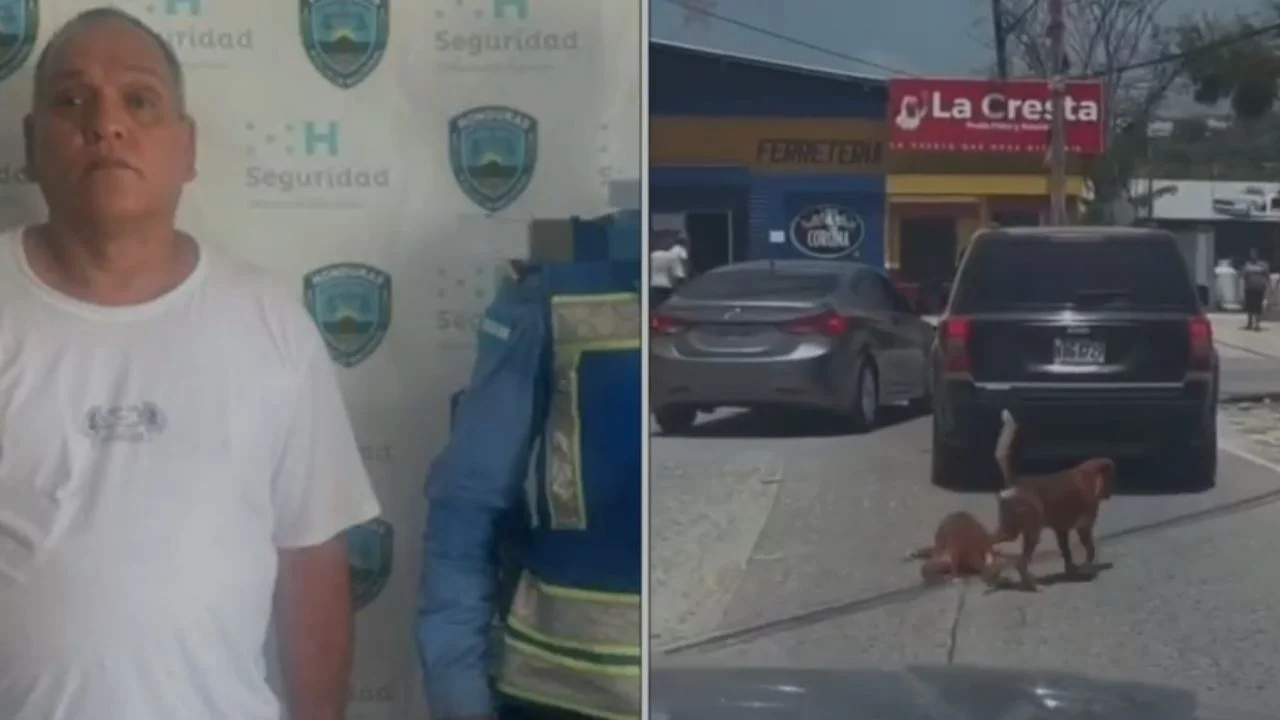 Capturan a conductor acusado de arrastrar a un perro con su vehículo en Choloma Imagen de Capturan a conductor acusado de arrastrar a un perro con su vehículo en Choloma