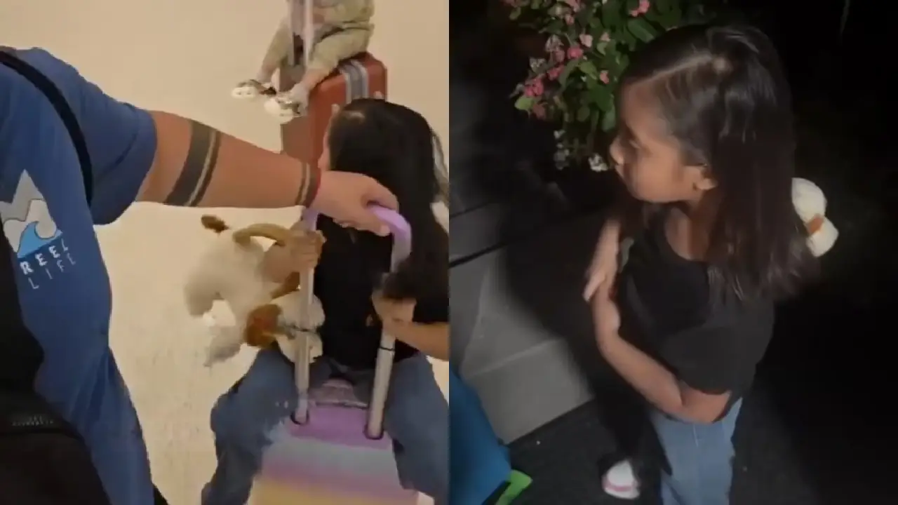 Video: Ayudan a niña a volver a Honduras tras deportación de sus padres Imagen de Video: Ayudan a niña a volver a Honduras tras deportación de sus padres