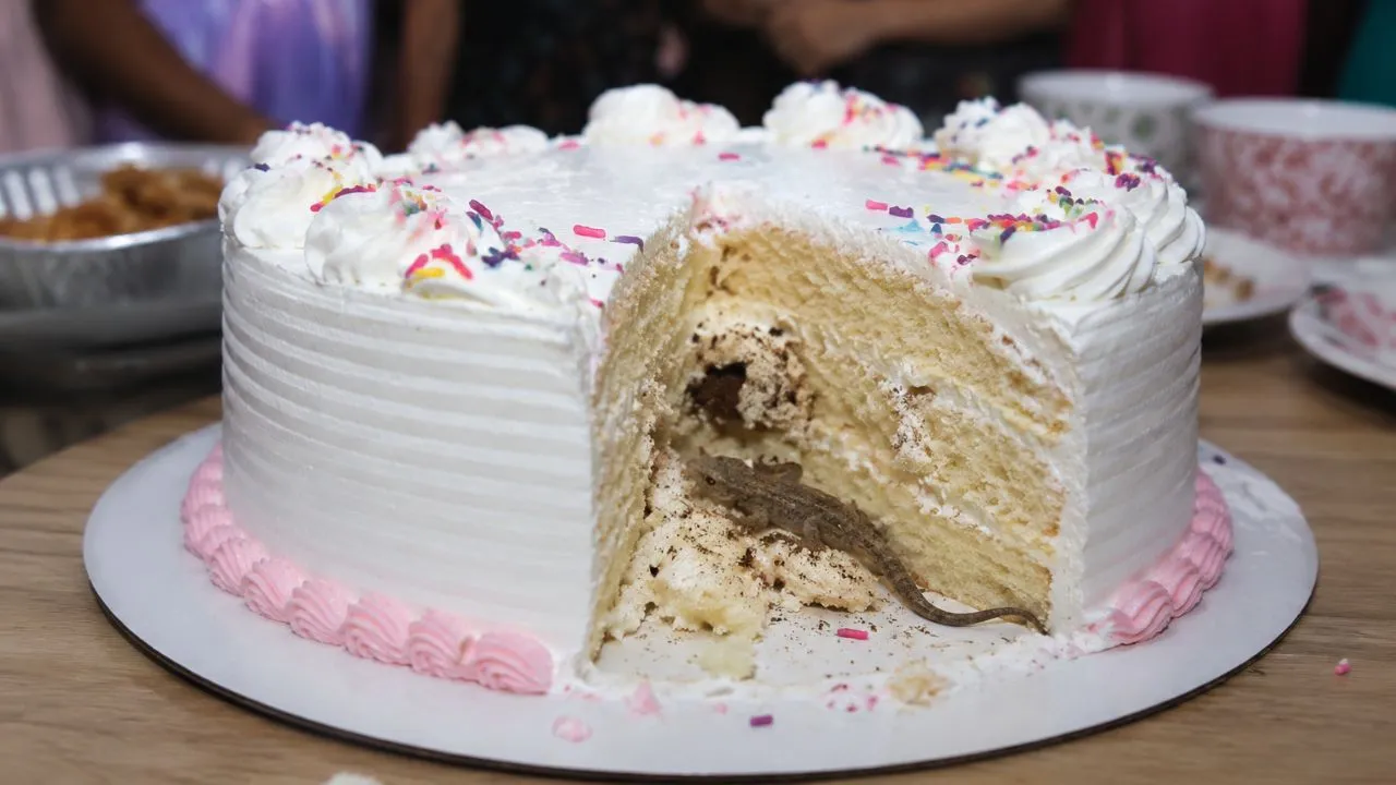 Once personas hospitalizadas tras comer pastel en fiesta de cumpleaños Imagen de Once personas hospitalizadas tras comer pastel en fiesta de cumpleaños
