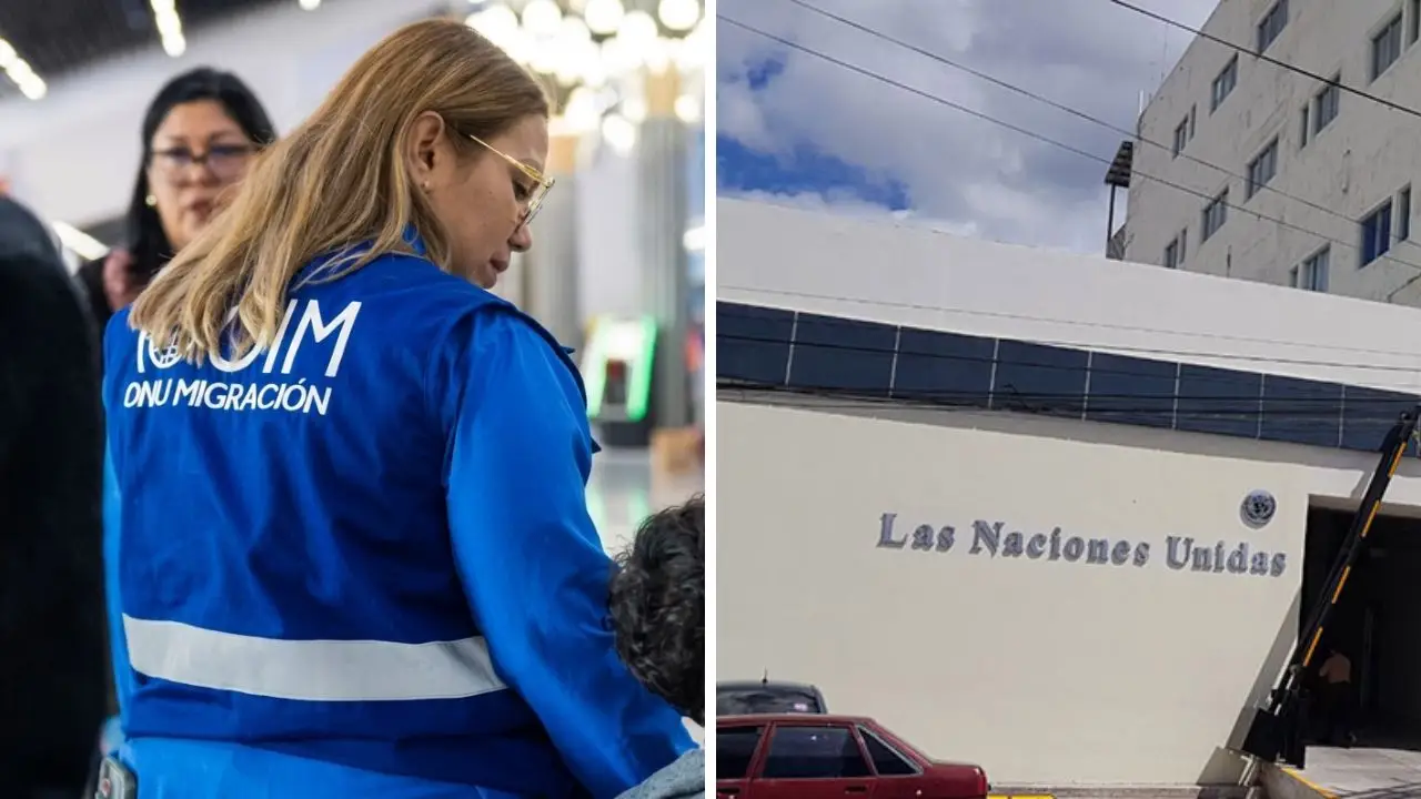 ONU Honduras abre vacantes de trabajos en agosto 2026: requisitos y cómo aplicar Imagen de ONU Honduras abre vacantes de trabajos en agosto 2026: requisitos y cómo aplicar