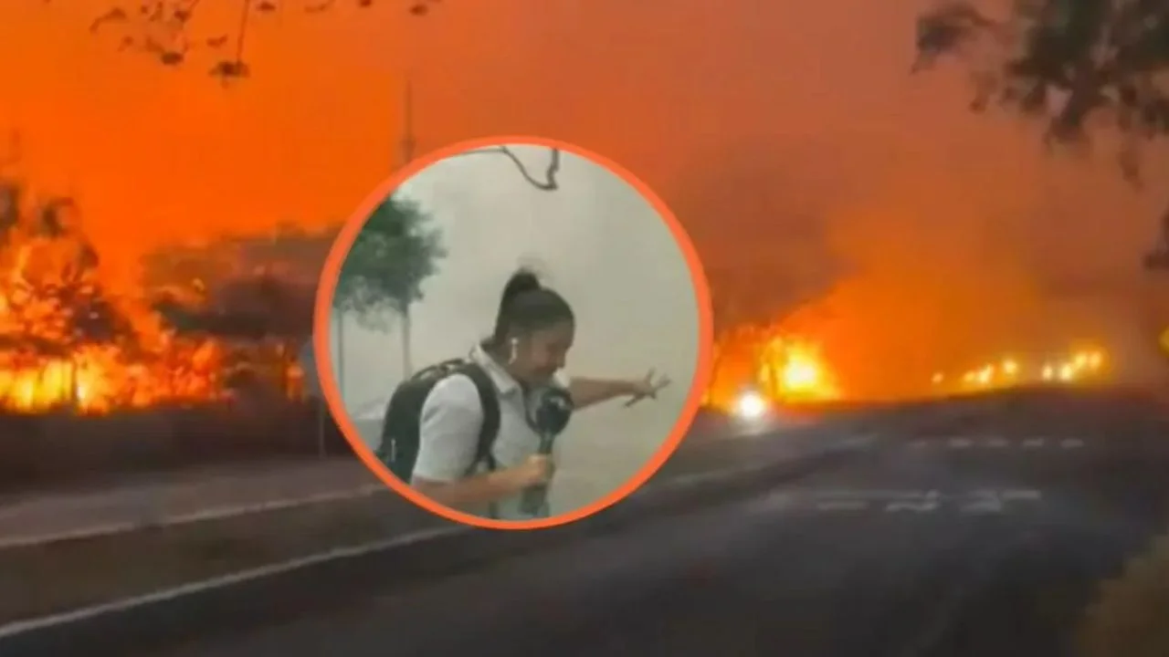 Periodista casi se asfixia tras quedar rodeada por voraz incendio en vivo Imagen de Periodista casi se asfixia tras quedar rodeada por voraz incendio en vivo