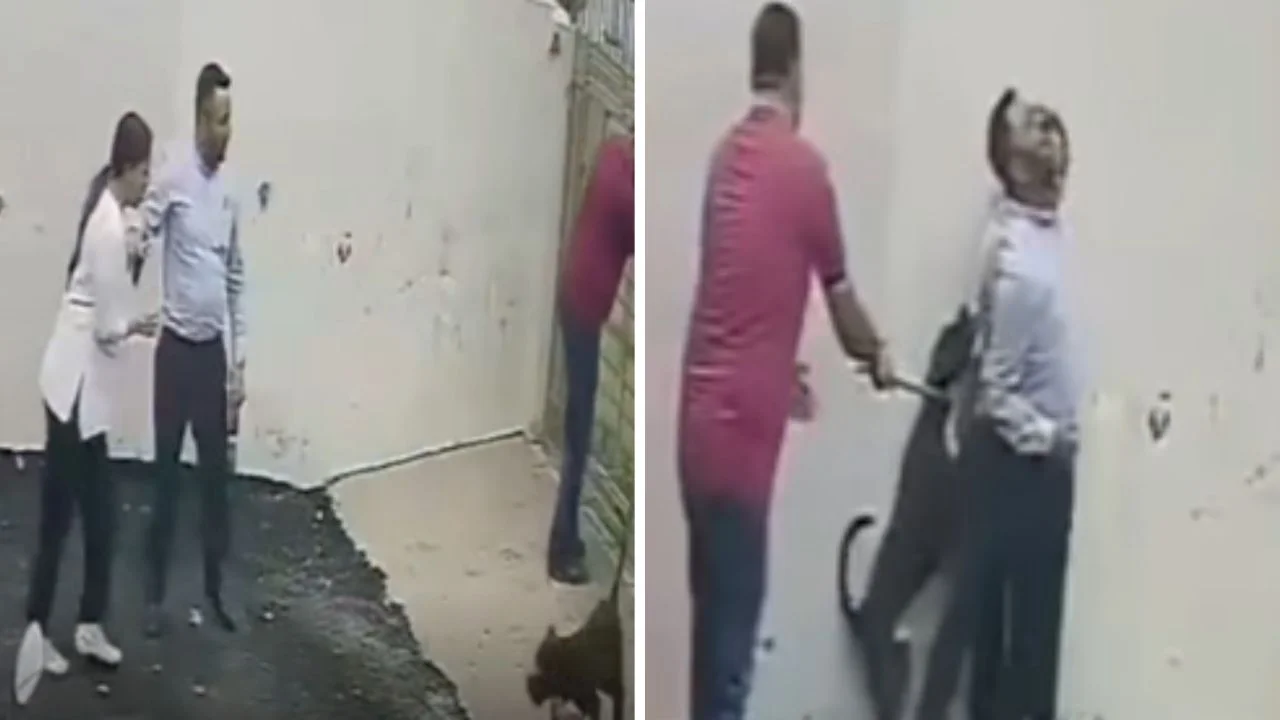 Pareja sufre feroz ataque de un pitbull durante visita inmobiliaria Imagen de Pareja sufre feroz ataque de un pitbull durante visita inmobiliaria