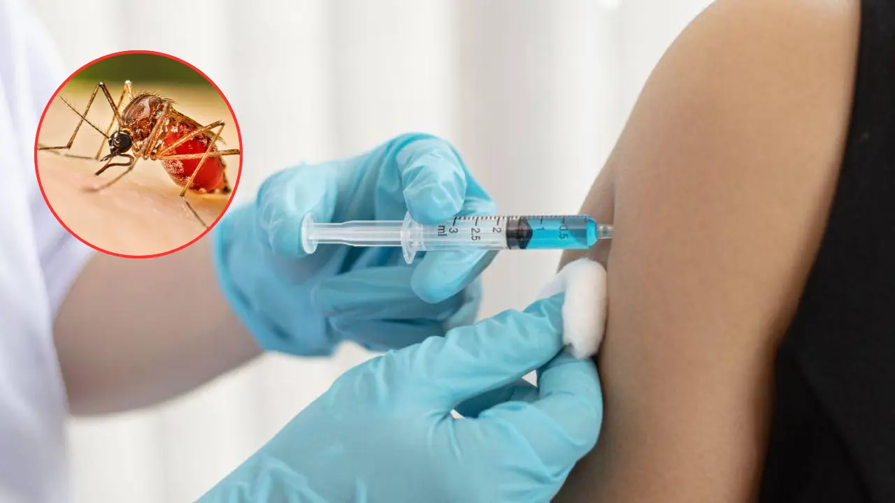 Vacuna contra el dengue estará disponible a nivel nacional desde esta semana Imagen de Vacuna contra el dengue estará disponible a nivel nacional desde esta semana