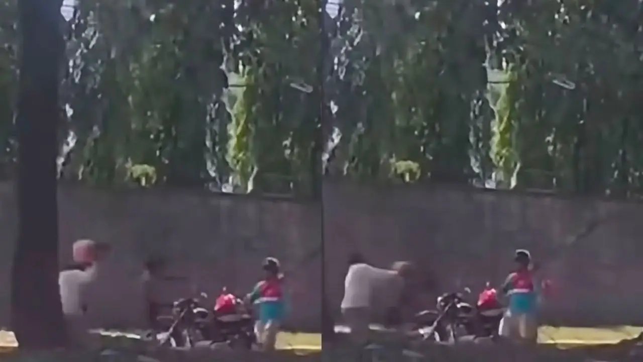 Video: repartidor de gas noquea a hombre que agredía a mujer en plena calle Imagen de Video: repartidor de gas noquea a hombre que agredía a mujer en plena calle
