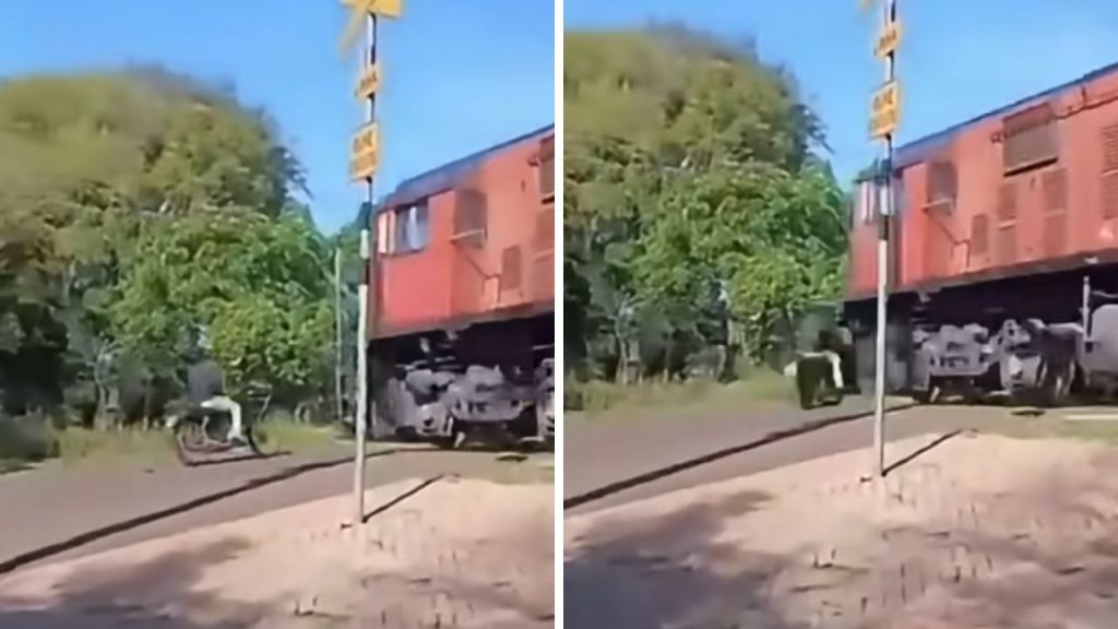 tren persona