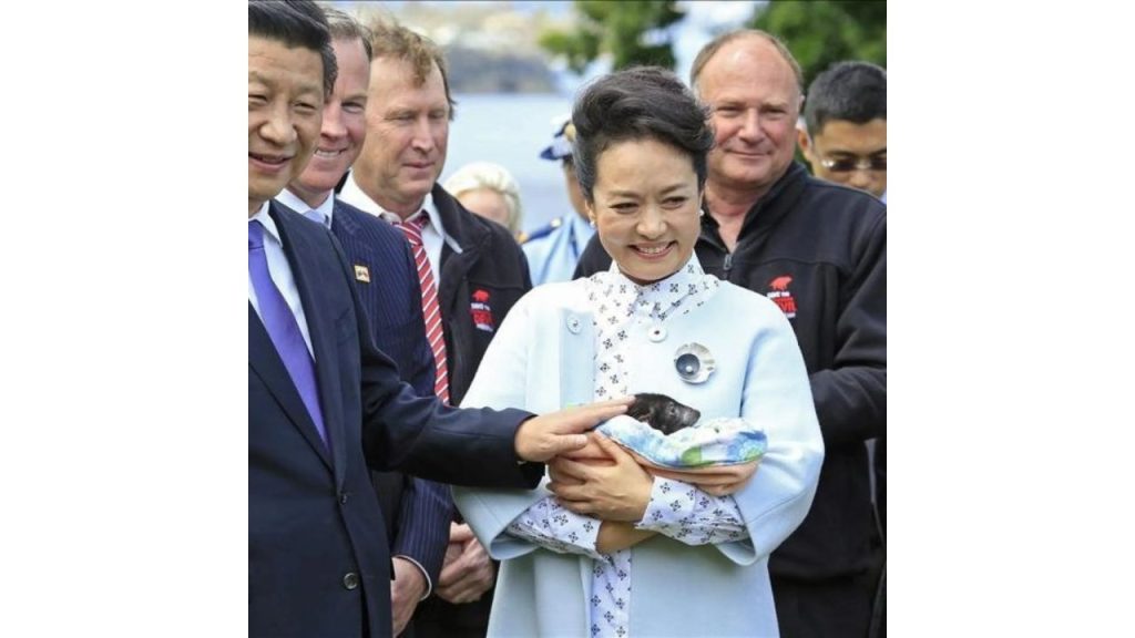 Peng Liyuan esposa de Xi Jinping