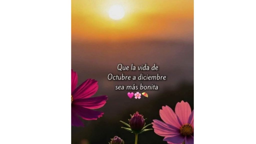 Frases de inicio de mes.