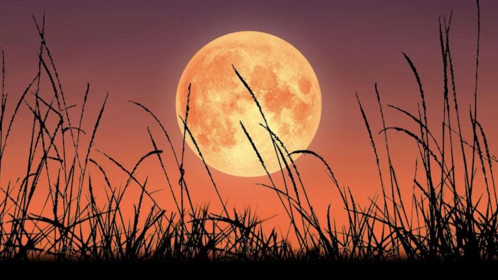 La luna llena de septiembre en área verde.